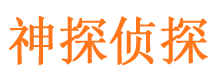 阳东侦探公司